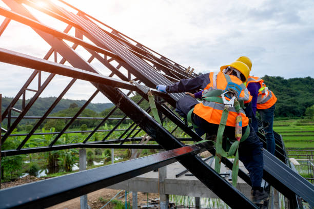 Best Local Roofing Companies  in Frisco City, AL